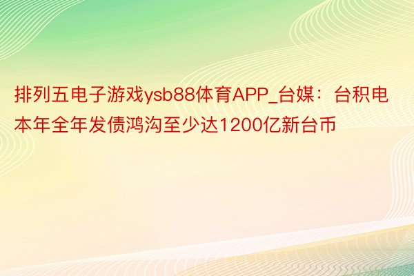 排列五电子游戏ysb88体育APP_台媒：台积电本年全年发债鸿沟至少达1200亿新台币