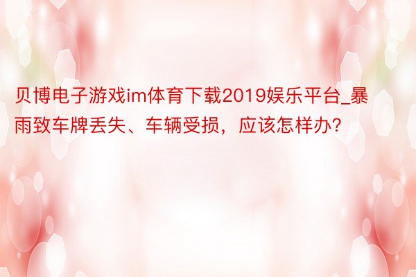 贝博电子游戏im体育下载2019娱乐平台_暴雨致车牌丢失、车辆受损，应该怎样办？