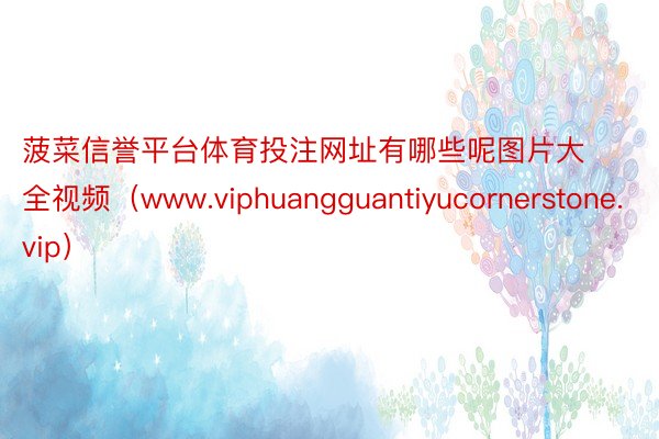 菠菜信誉平台体育投注网址有哪些呢图片大全视频（www.viphuangguantiyucornerstone.vip）